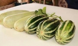 当代网红吃瓜视频,揭秘娱乐圈幕后真相