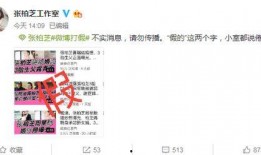 懂小姐格子间最新爆料,最新爆料背后的职场风云